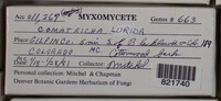 Image Associated With the Occurence